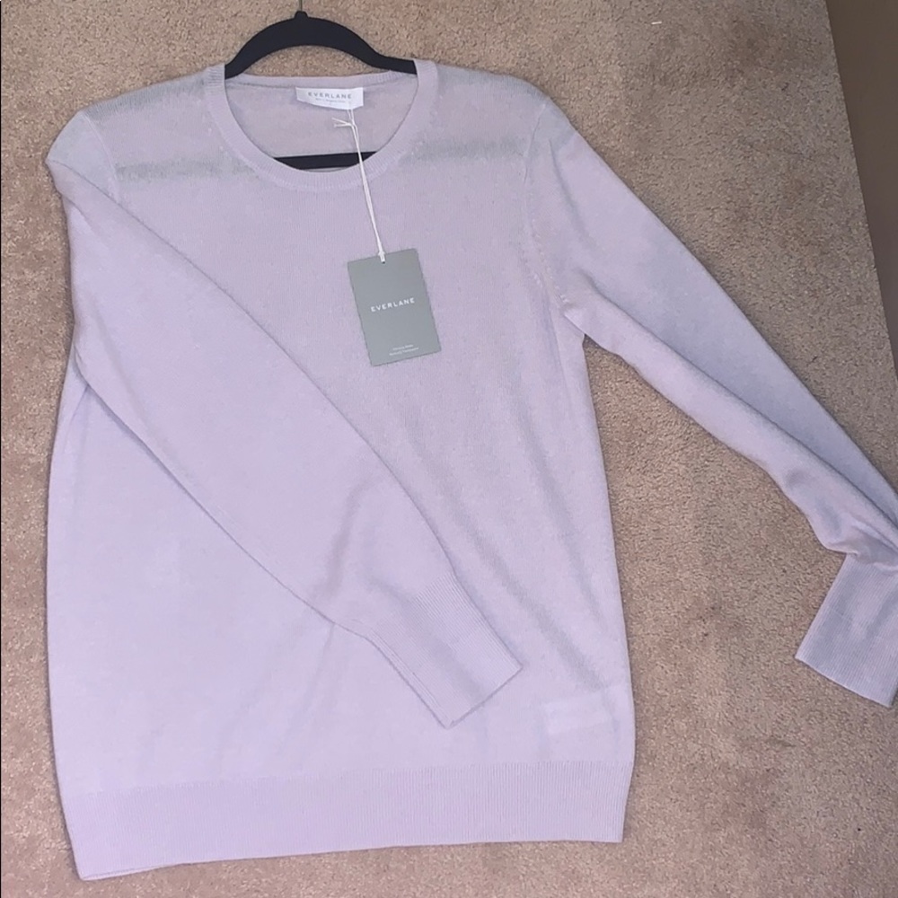 Everlane  sweater